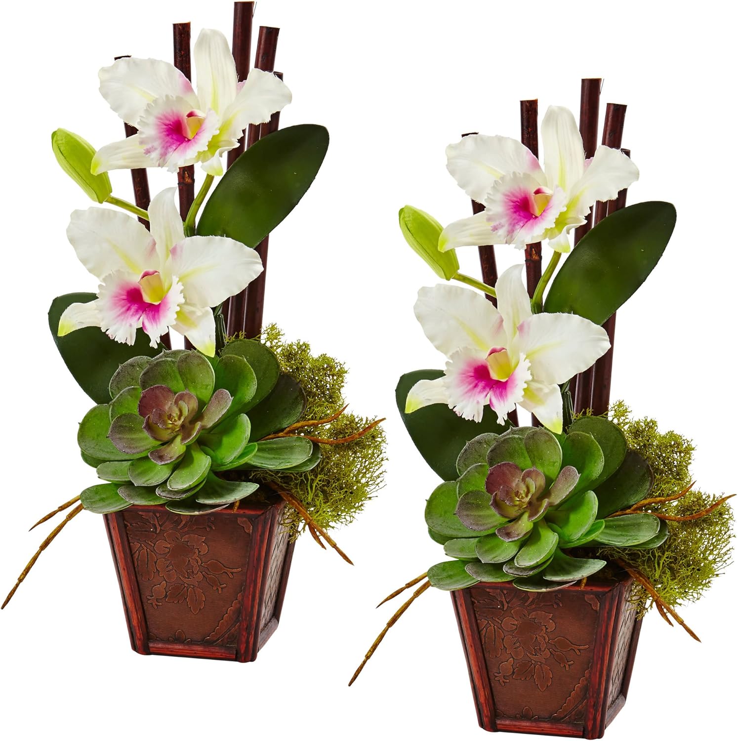 Nearly Natural 1445 S 2 Orchid Succulent Set of Piece 1 Cattleya Orchid & Succulent Arrangement (Set of 2) Pack of 2