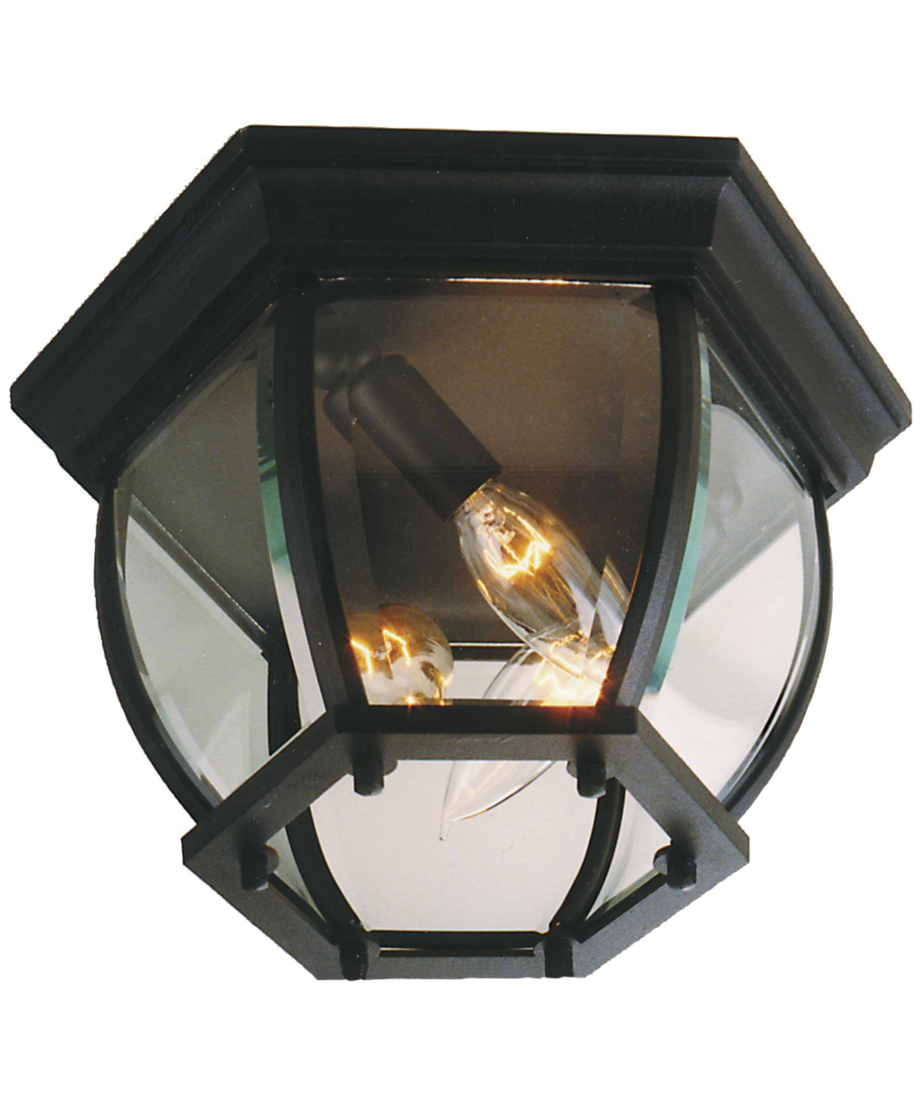 Craftmade Bent Glass Matte Black Outdoor Ceiling Light | Z433-TB