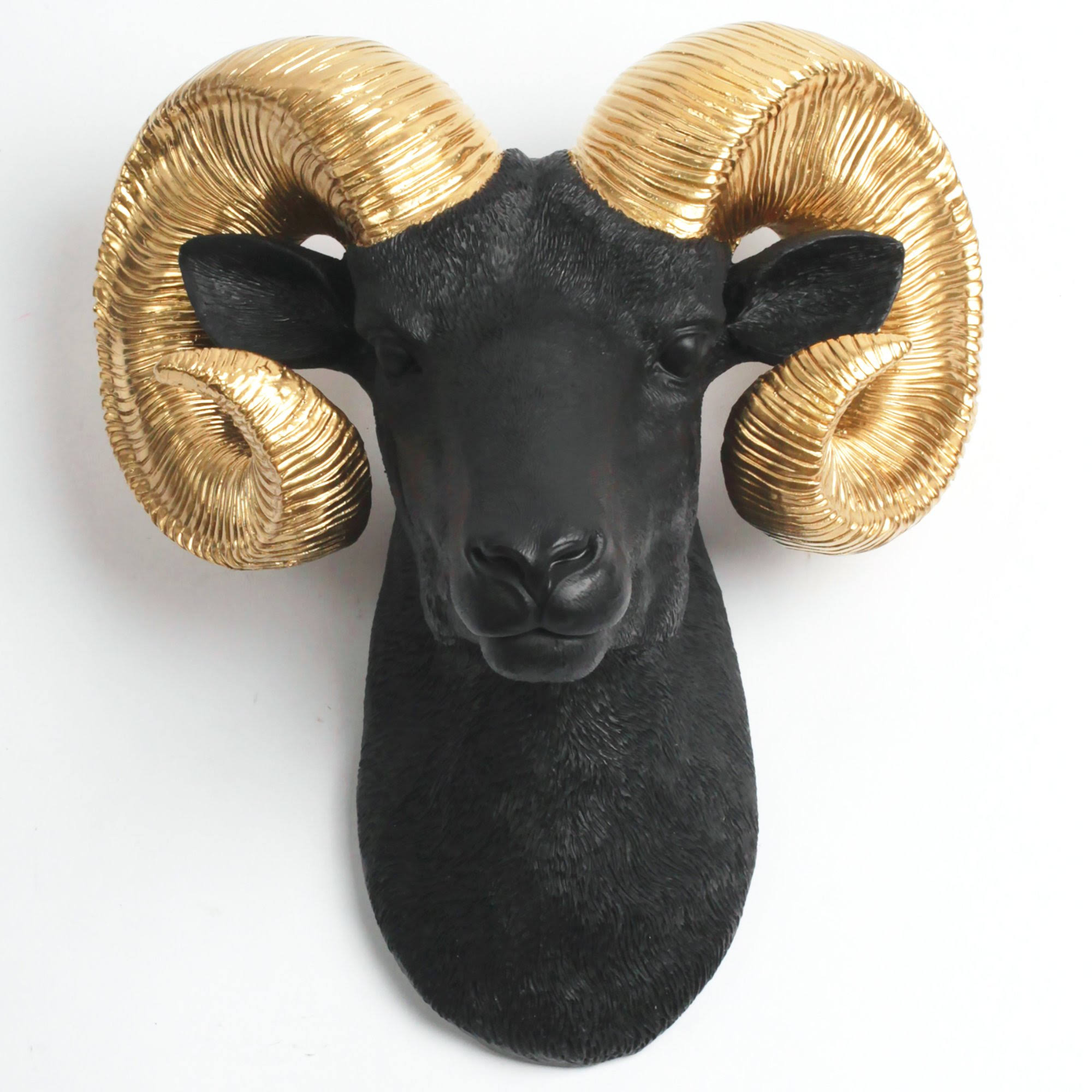 Halloween Sale: The Darby in Black + Gold, XL Faux Taxidermy Ram Head