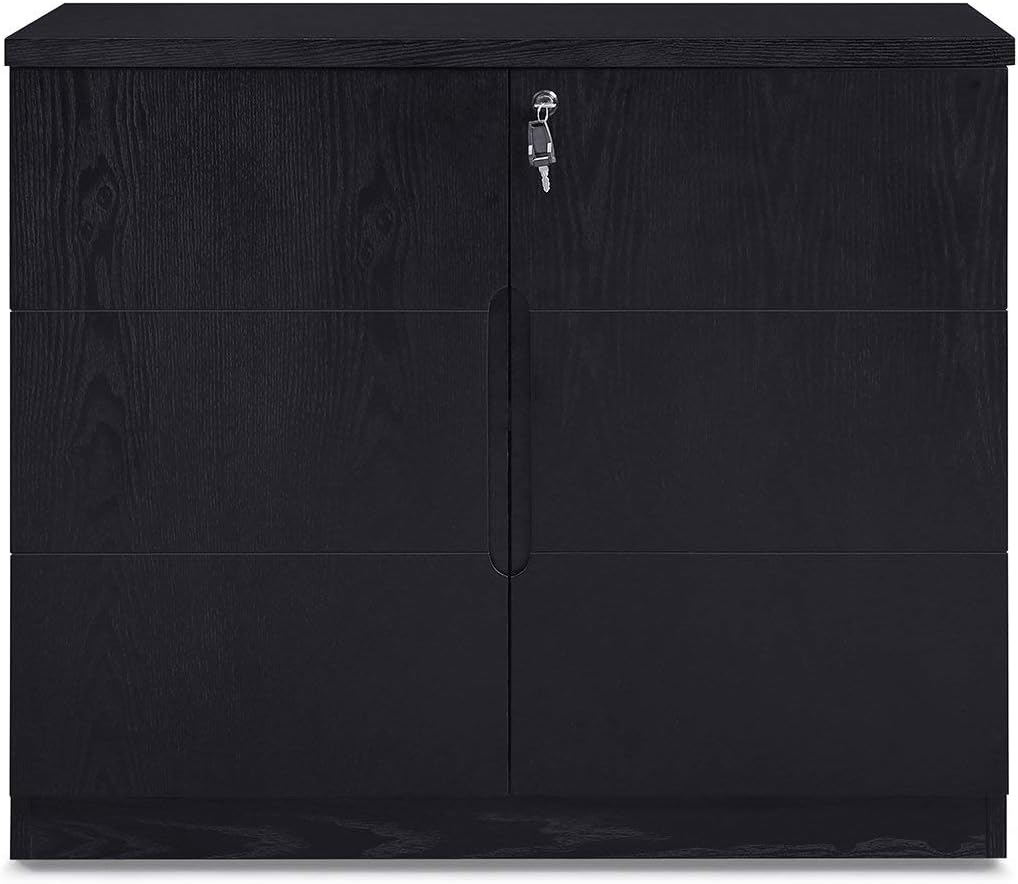 Hayes Modern 2 Door Storage Printer Cabinet - Black Oak