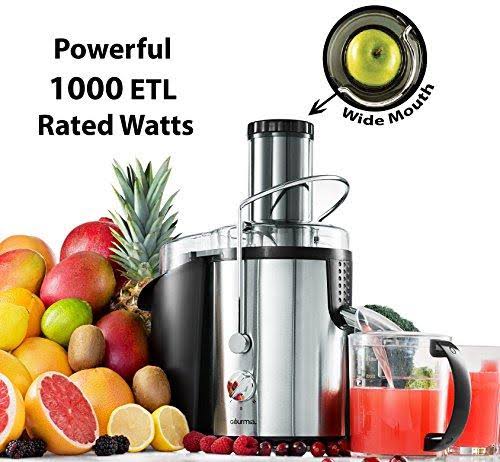 Gourmia Stainless Steel Juice Extractor u0026 Maker