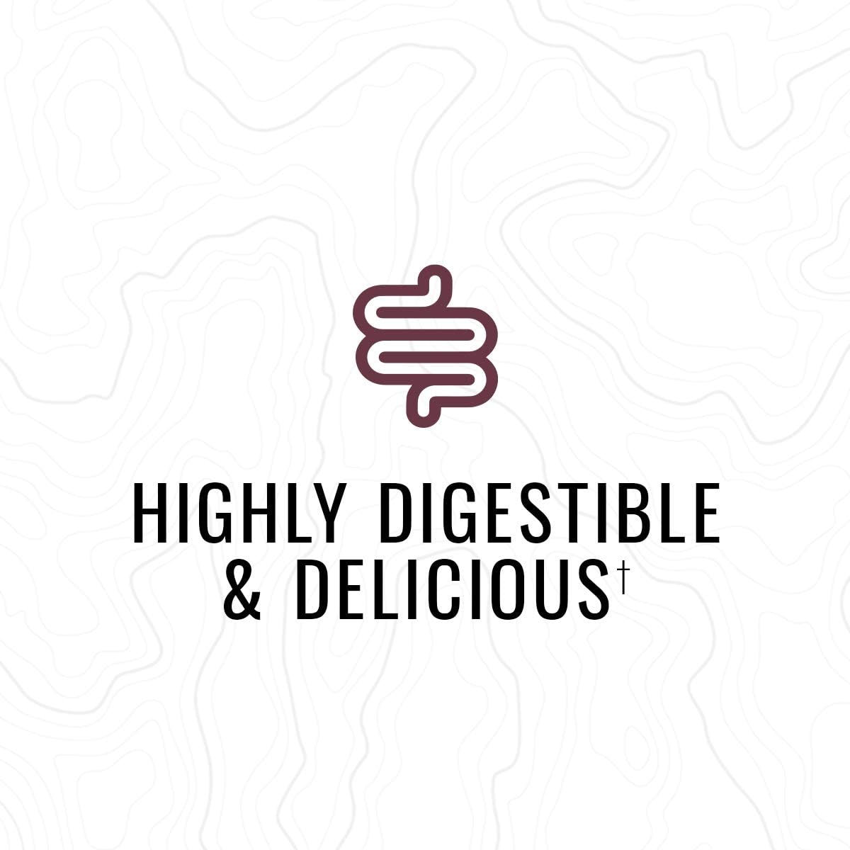 Wilderness Athlete Meal Replacement and Recovery Shake, Chocolate, 15.7 oz Pack of 2