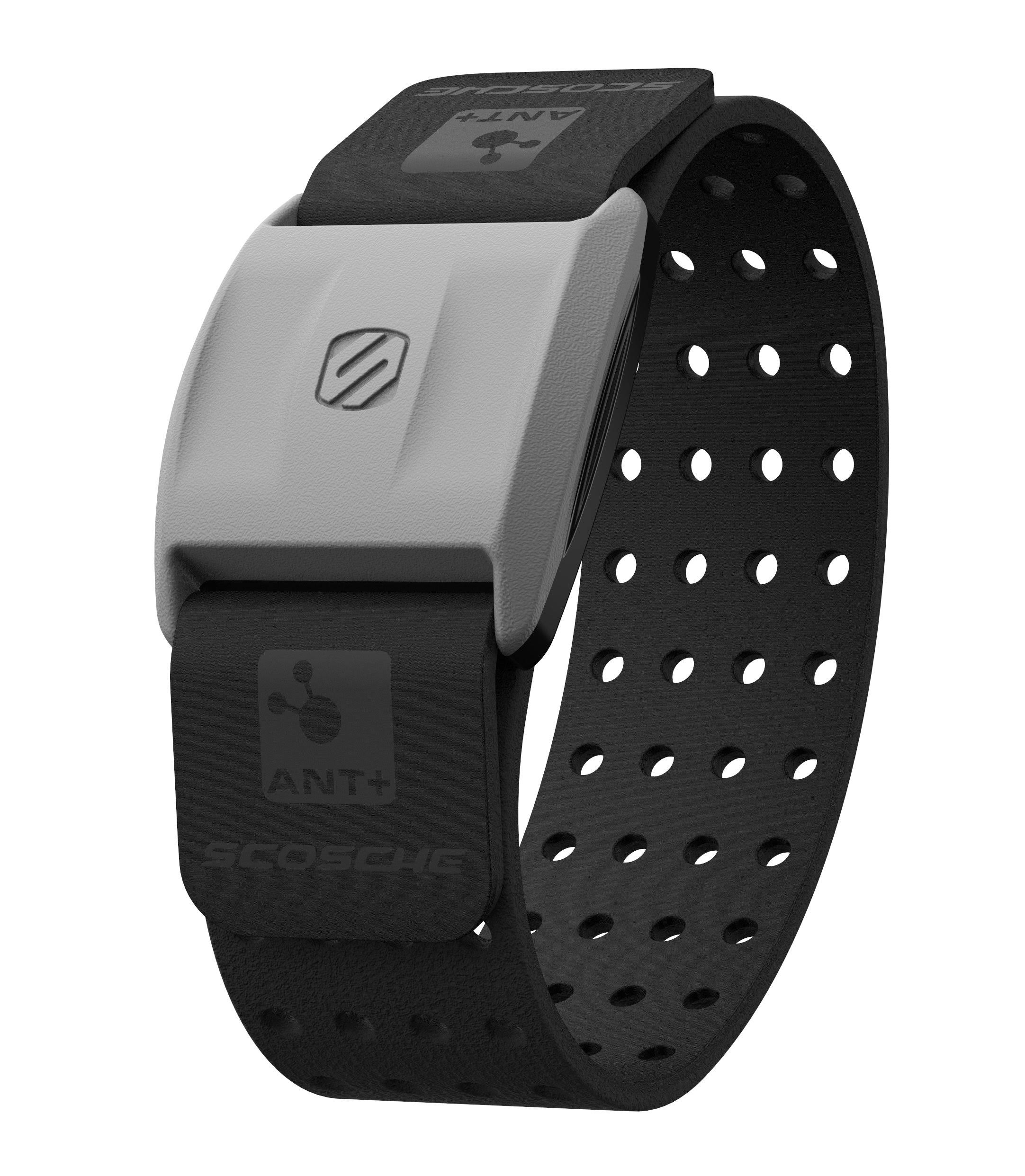 Scosche Rhythm+ Heart Rate Monitor with Armband, Black