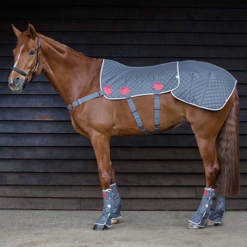 Equilibrium Therapy Magnetic Back and Quarters Pad