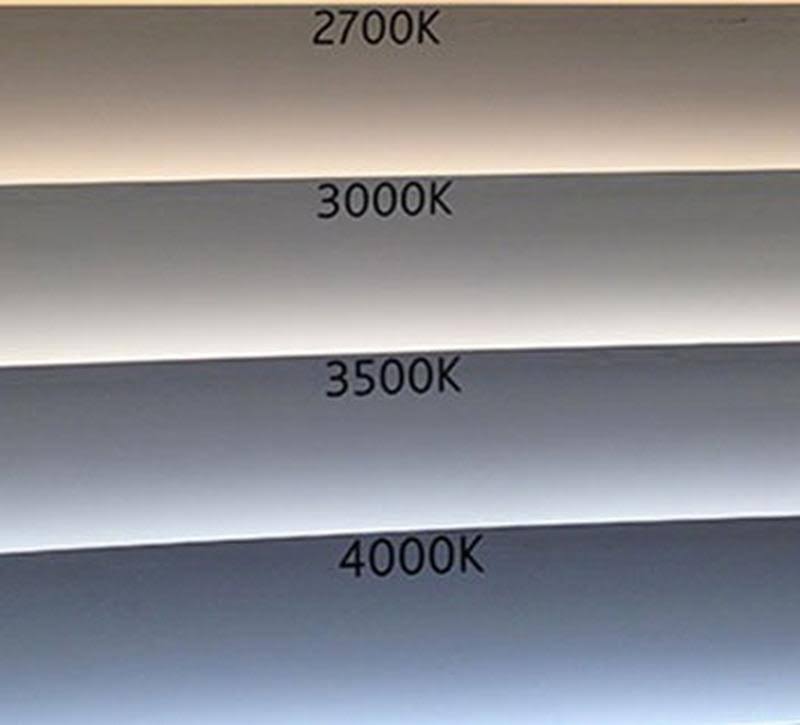 WAC Lucio LED 10W Monopoint - MO-6010F-830-BK