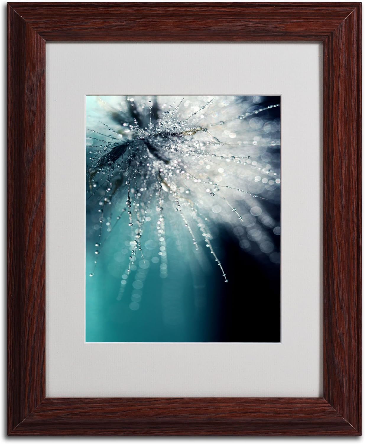 Morning Sonata Artwork by Beata Czyzowska Young, 11 by 14-Inch, Wood Frame Pack of 2