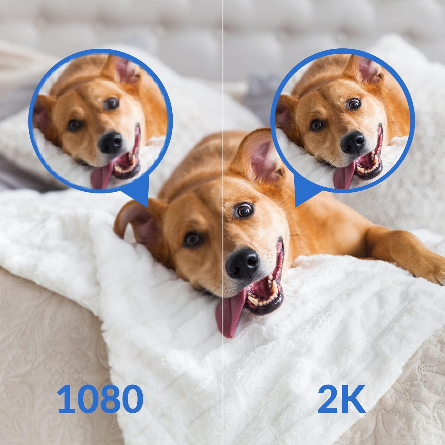 YI Camera for Home Security Indoor 2K, WiFi Bedroom Surveillance Camera 360-degree with Night Vision, Human Detection, 2-Way Audio, Phone App, Compatible with Alexa and Google Assistant Pack of 2