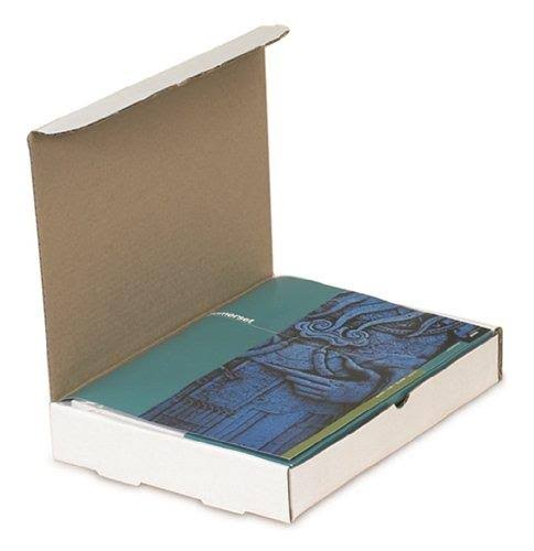 The Packaging Wholesalers BSM1183 11 1/8 x 8 3/4 x 3x22 Protective Literature Mailer