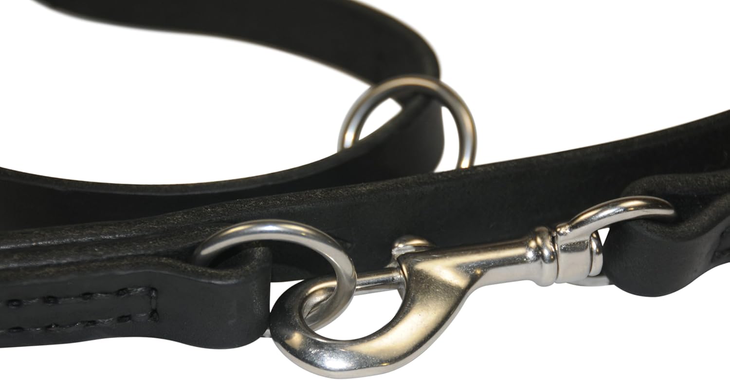 Dean and Tyler Simple Pleasure Dog Leash, Black 5-Feet by 3/4-Inch Width With Stainless Steel Hardware.