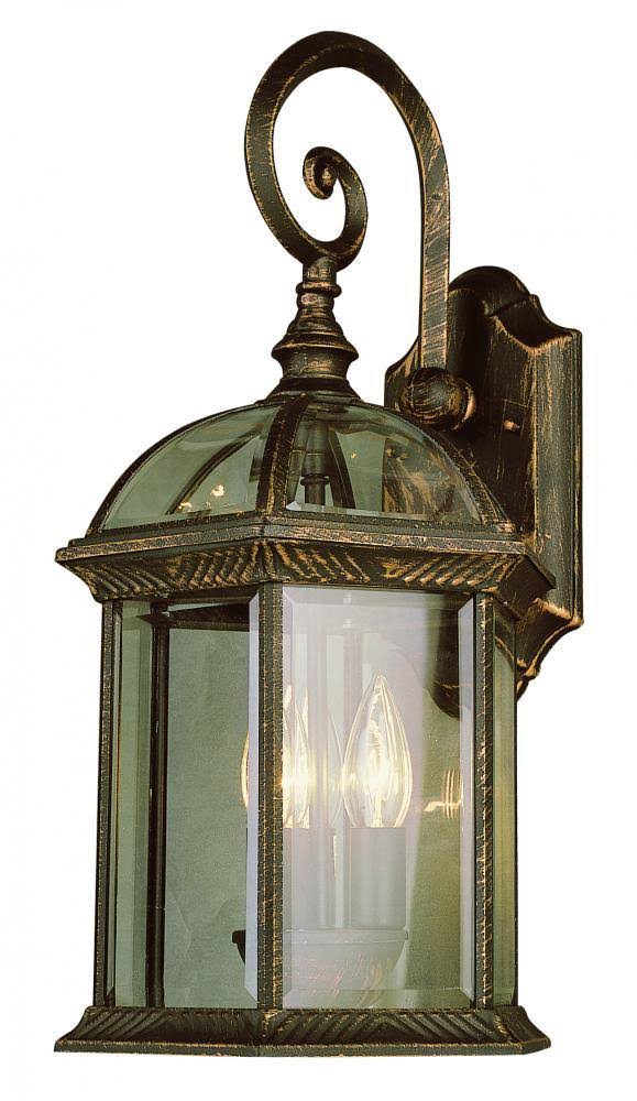 Trans Globe Botanica Outdoor Sconce - Black Gold 44181 BG
