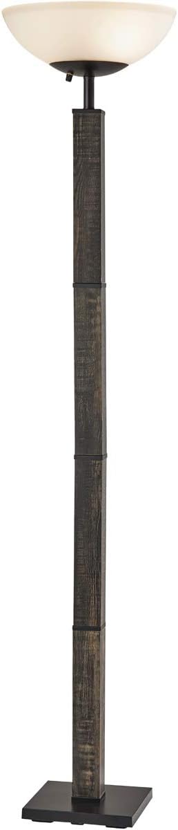Adesso 3498-01 Kona Floor Lamp, Black