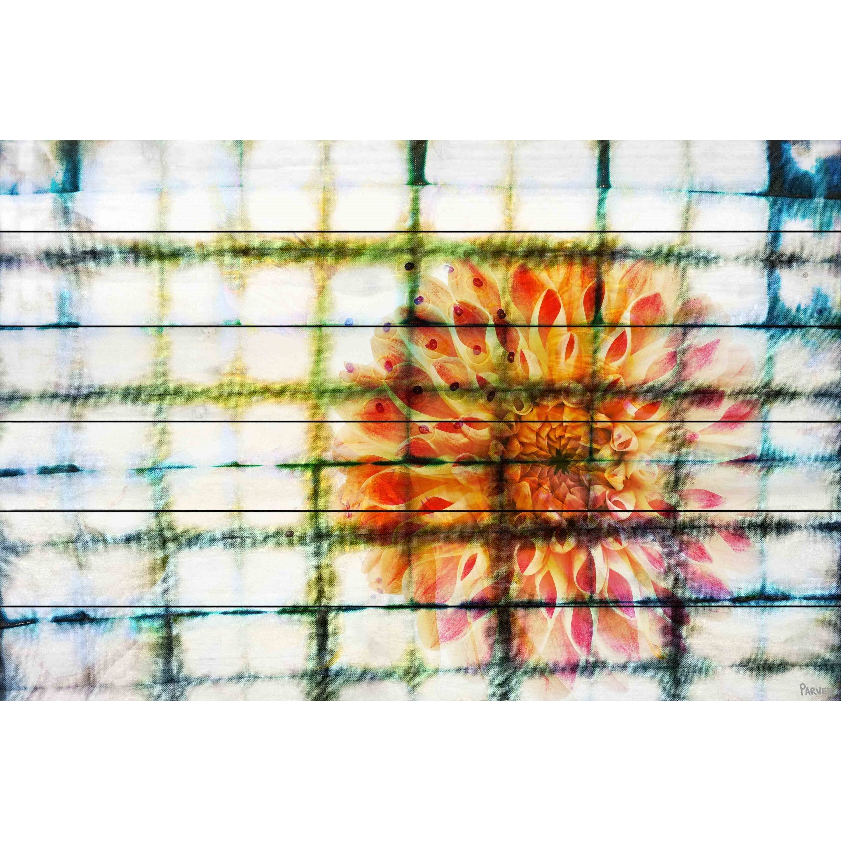 Parvez Taj Peacock Painting Print on White Pine Wood