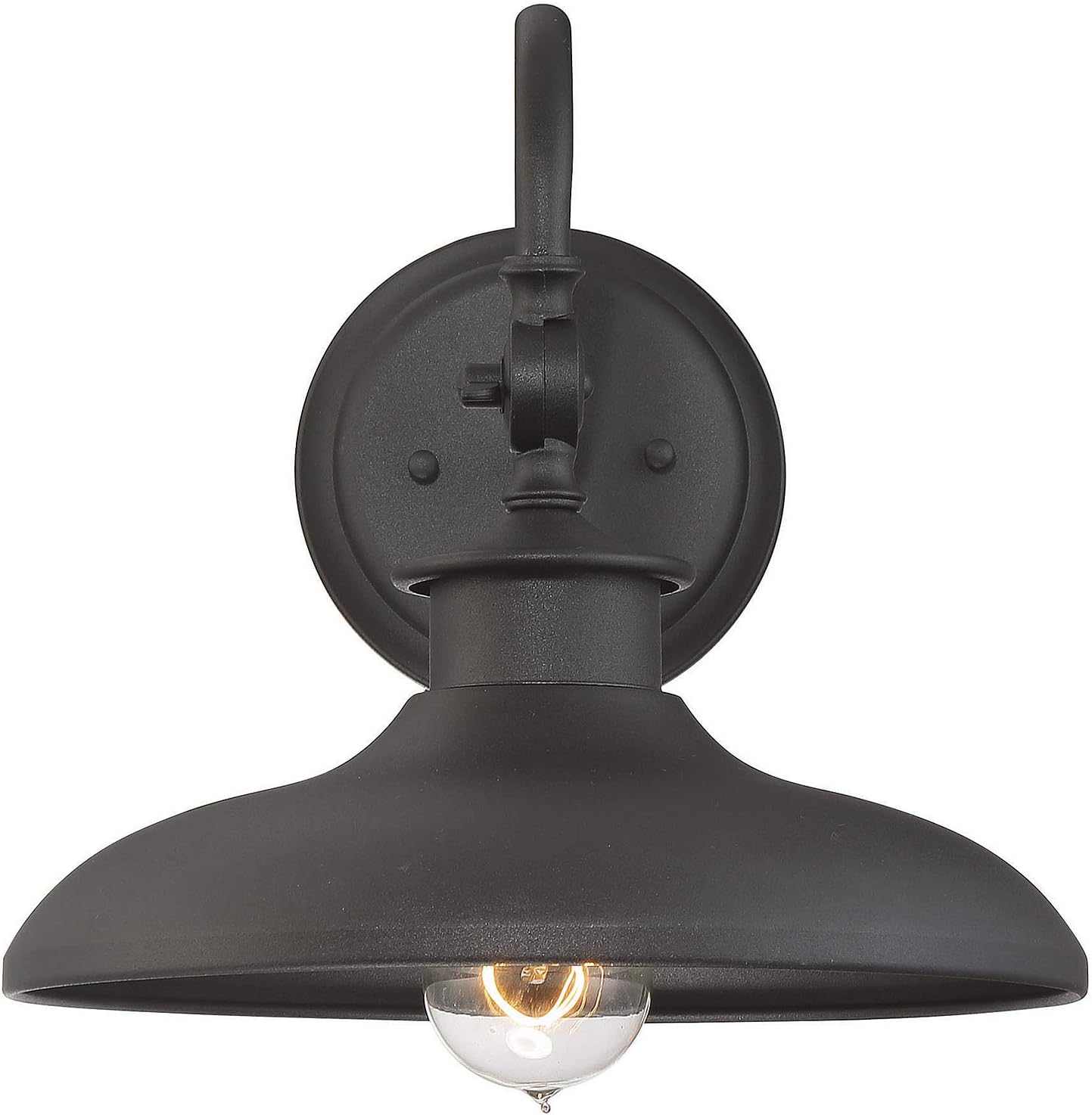 Savoy House 5-9584-BK Raleigh 11