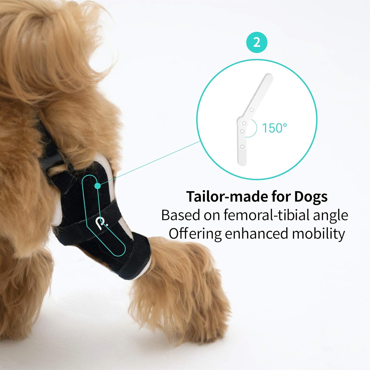Poveo hinged Dog Knee Brace with Patella Tracker - Neoprene Canine Stifle Support for Dogs with Flexible Support, Torn ACL, Patella Luxation, osteoarthritis, limping from Joint Pain, Hip dysplasia