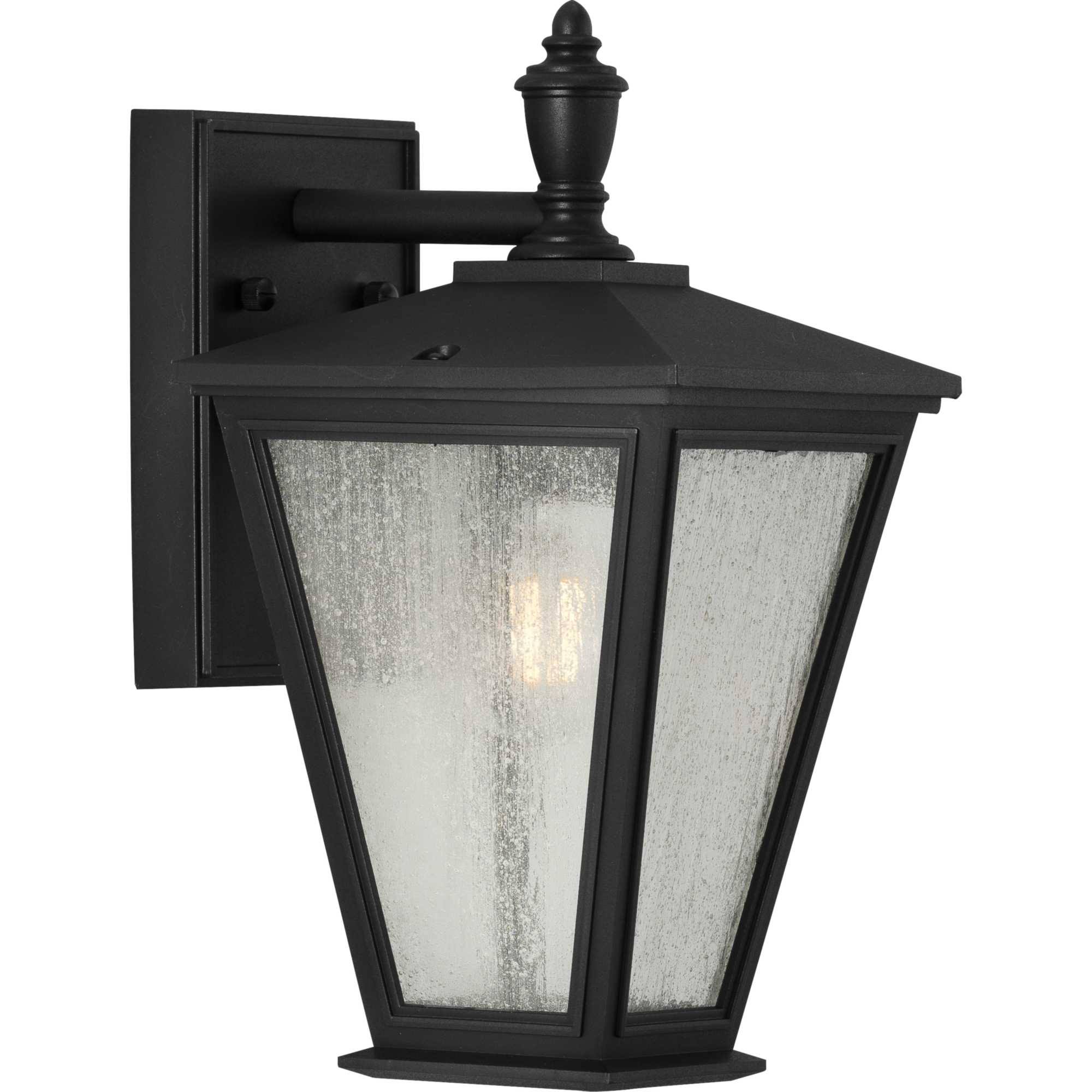 Progress Lighting P560166-031 Cardiff Outdoor Wall Light Black