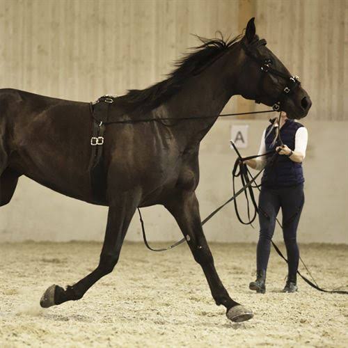 Horze Nylon Cavesson - Full / Black