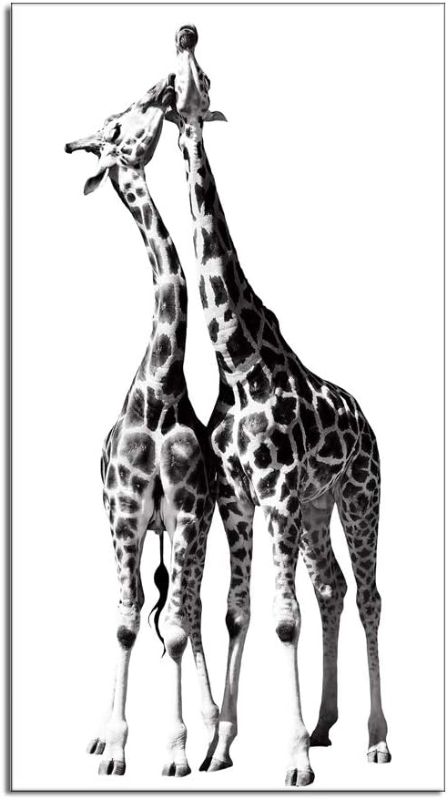 Artsbay African Giraffe Canvas Prints Wall Art Decor Black and White Funny Animal with Love Pictures Prints on Giclee Artwork Gallery Wrapped Painting Stretched and Framed Ready to Hang for Home Room Decoration 20