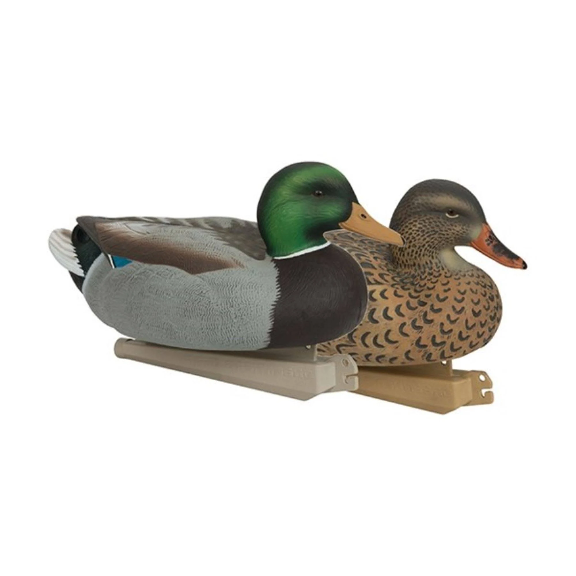 Avery Essential Series Mallard, 12 Pack
