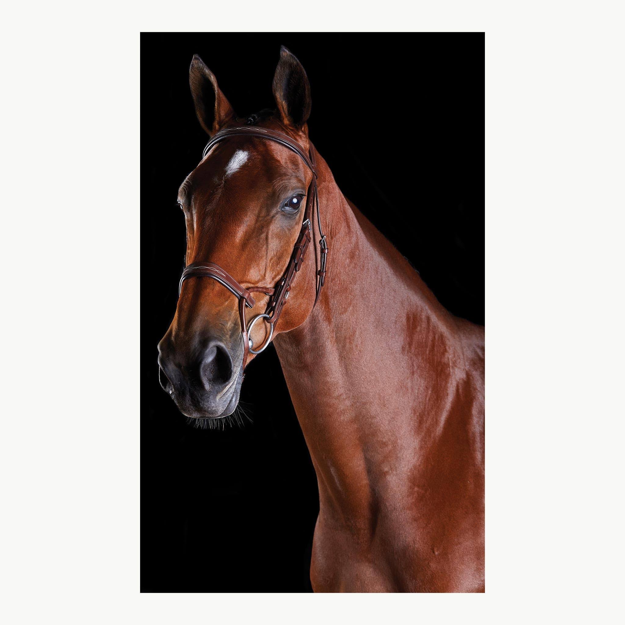 Collegiate ComFiTec Fancy Stitch Bridle - Black