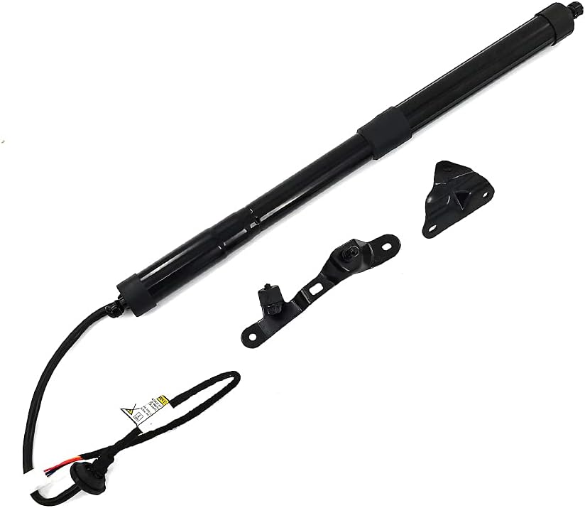 Rear Left Tailgate Hatch Lift Supports Shock Struts Replacement for Toyo-ta RAV4 2013-2018 Trunk Lift Strut 6892009010 6892009011 6891009010