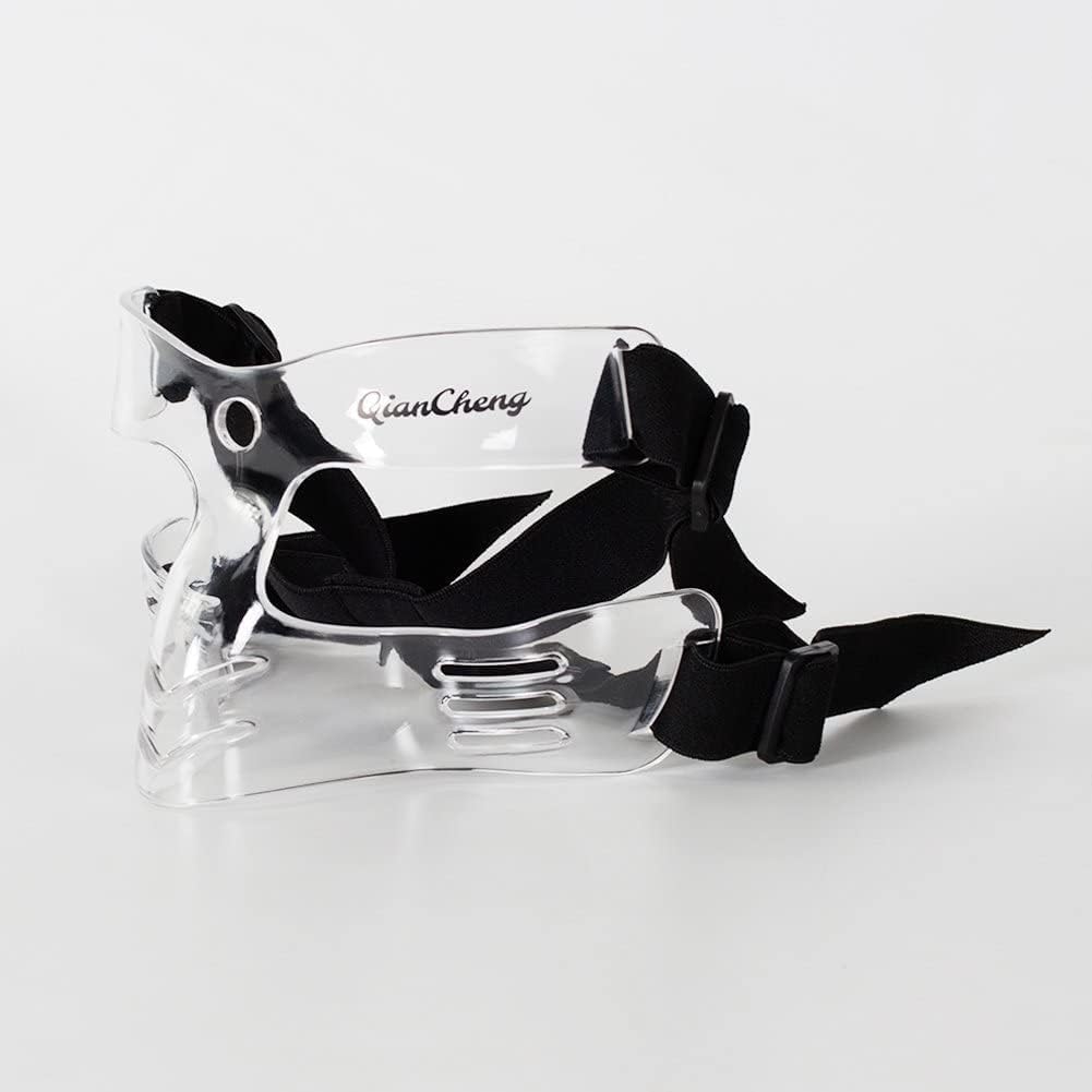 Qiancheng Nose Guard Face Shield, L5 - High Nose Bridge Pack of 2