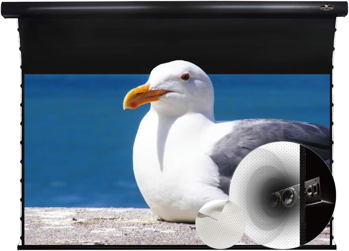 VIVIDSTORM-Slimline Motorized Tension Pull Down Screen Projector Perforated Transparent Acoustically White Cinema,4K/3D Home Cinema,Compatible with Standard Projector,VMSLPW120H