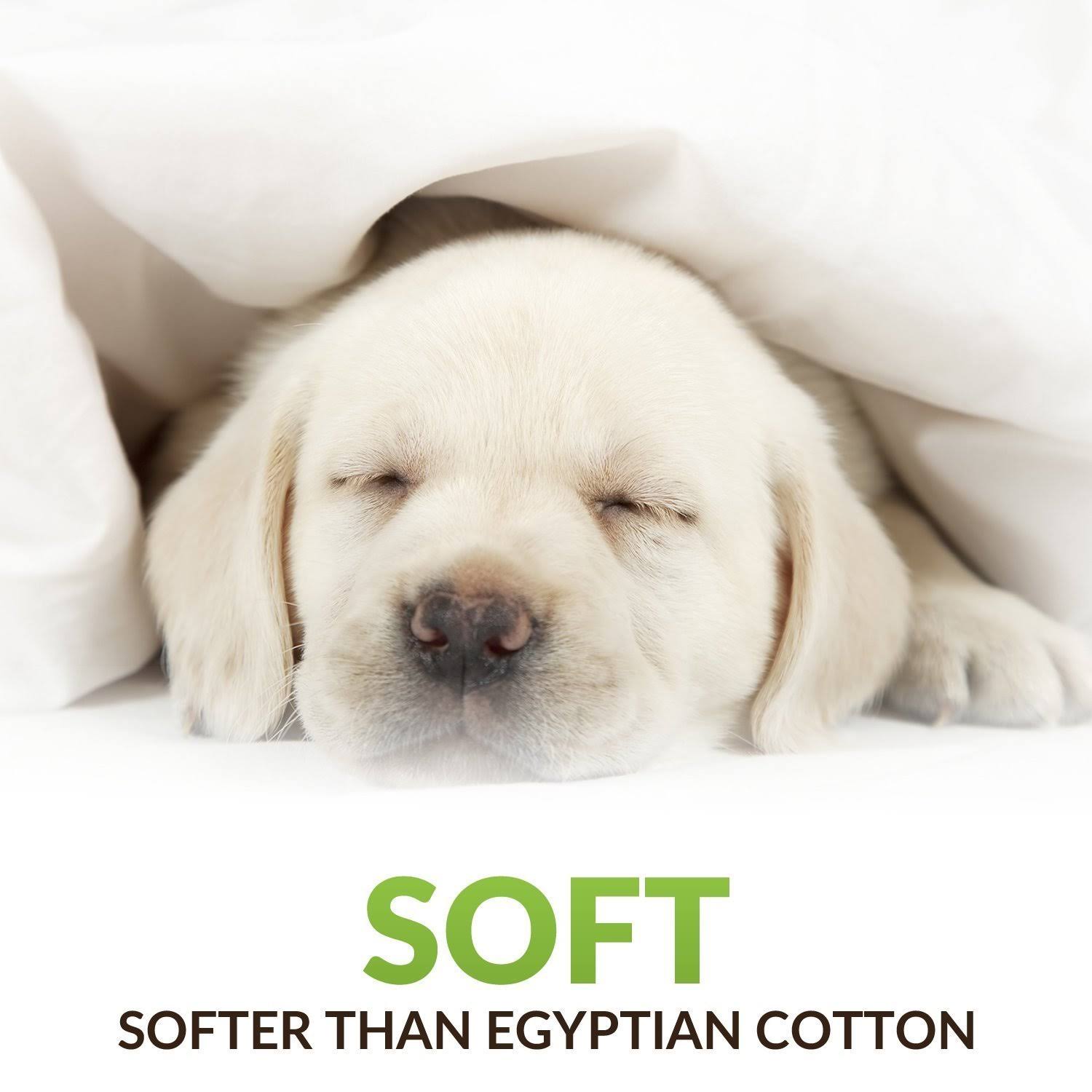 Cosy House Collection Luxury Bamboo 3 Piece Sheet Set - Twin - Black