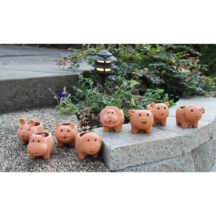 Set of 8 Adorable Terracotta Mini Animal Shaped Pots - 3.5x22 x 3.5x22