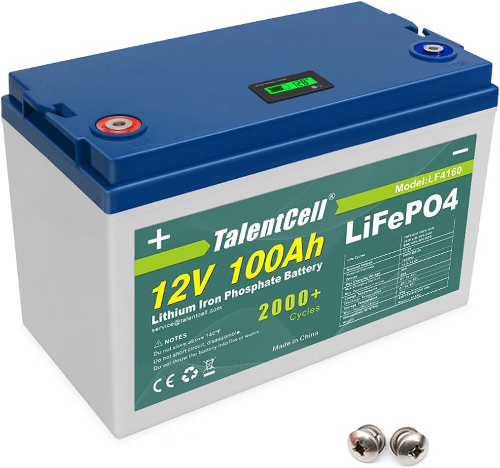 TalentCell Rechargeable 12V 100Ah Lithium Iron Phosphate (LiFePO4) Deep Cycle Battery Pack, Over 2000 Cycles, Built in Cell Balance Board BMS Charger Module