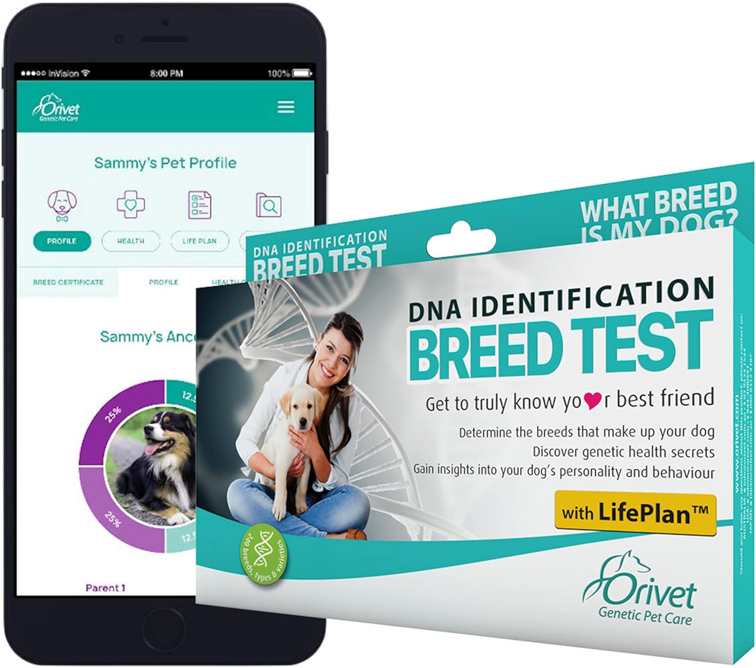 Orivet Dog DNA Test | Dog Breed Test Kit, Genetic Testing, Heritable Health Risks and Life Plan Pack of 2