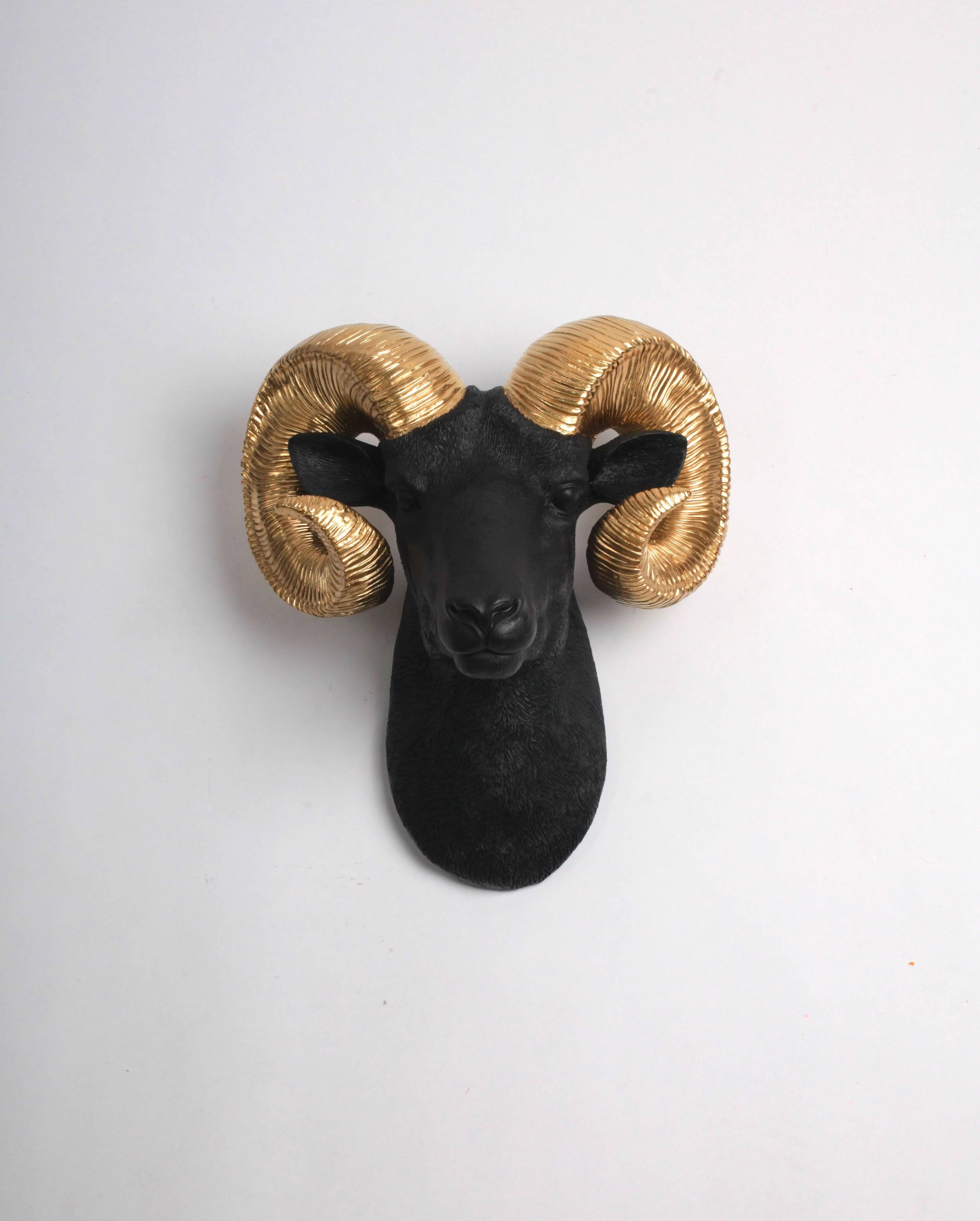 Halloween Sale: The Darby in Black + Gold, XL Faux Taxidermy Ram Head