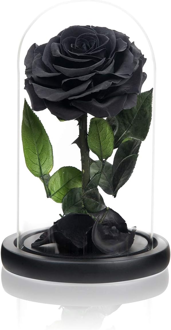 Handmade Preserved Roses in Glass Dome, Long Lasting Black Roses Real, Eternal Glass Rose for Valentine&rsquo;s Day, Christmas, Mother&rsquo;s Day, Birthday, Anniversary, Wedding, Thanksgiving
