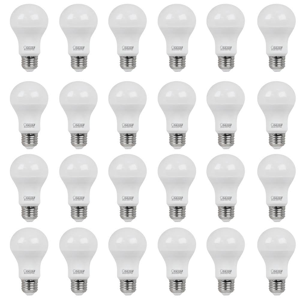 Feit Electric 60W Equivalent Daylight (5000K) A19 LED Light Bulb (24-Pack)