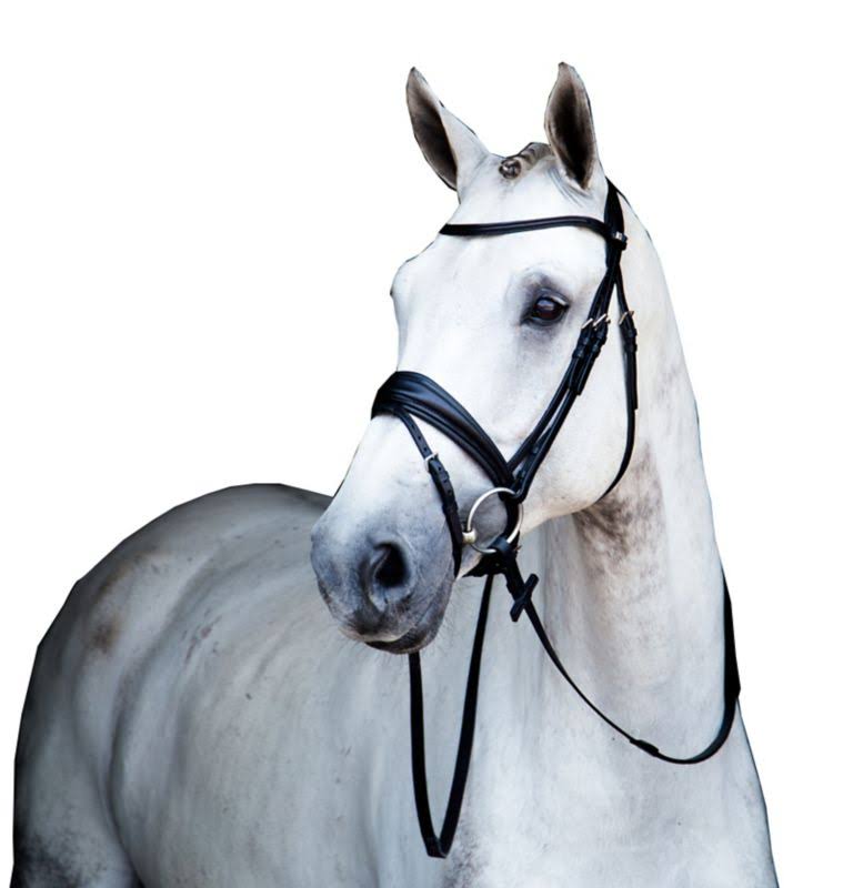 Stubben Switch Bridle Full Black Patent