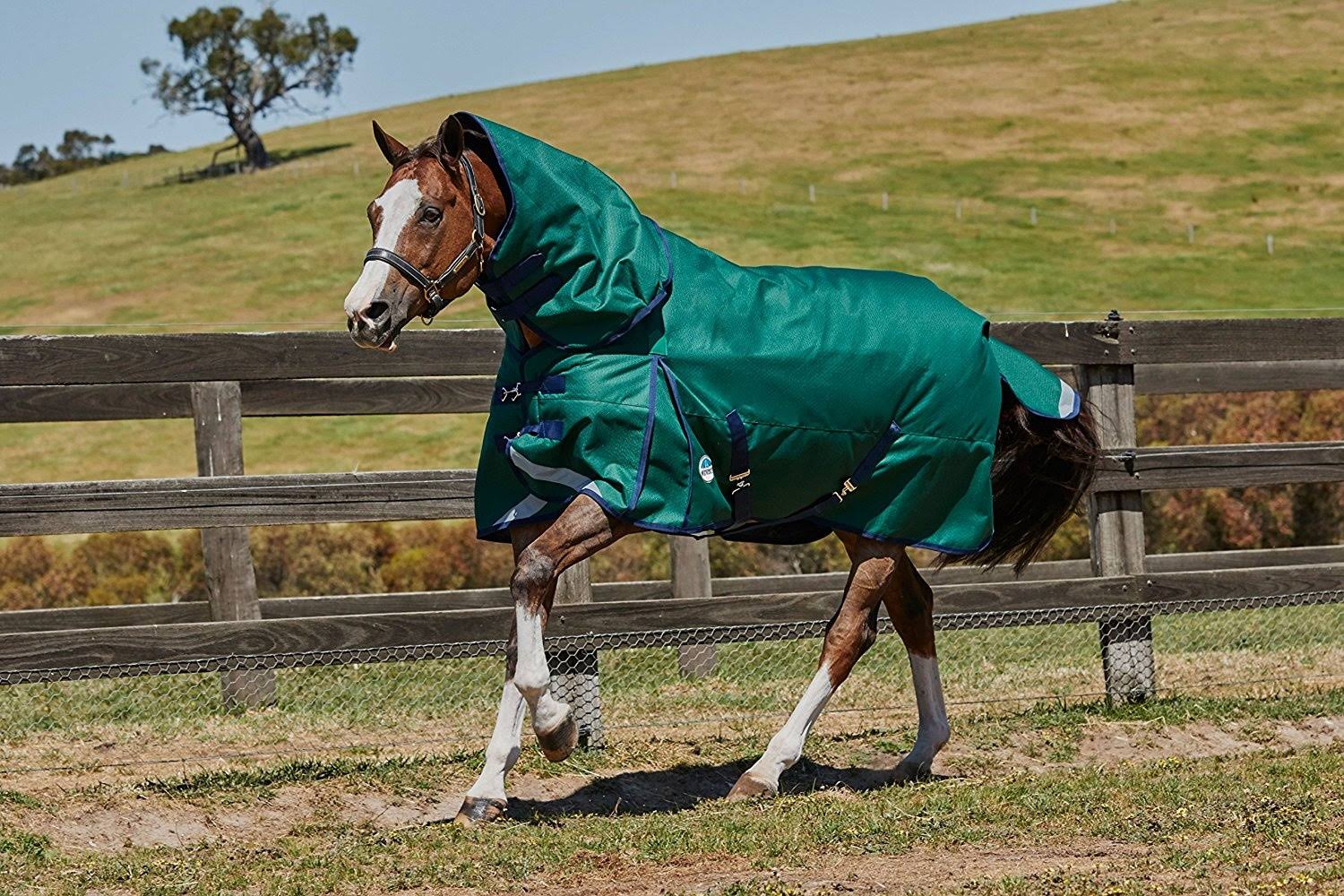 Weatherbeeta ComFiTec Plus Dynamic Detach A Neck Heavy