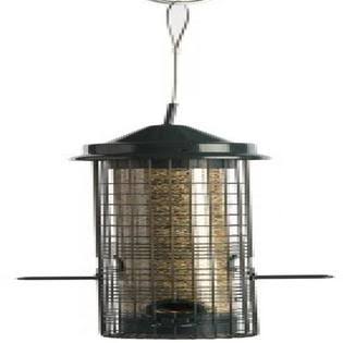 Jacobi Jayne Squirrel Buster Classic Bird Feeder