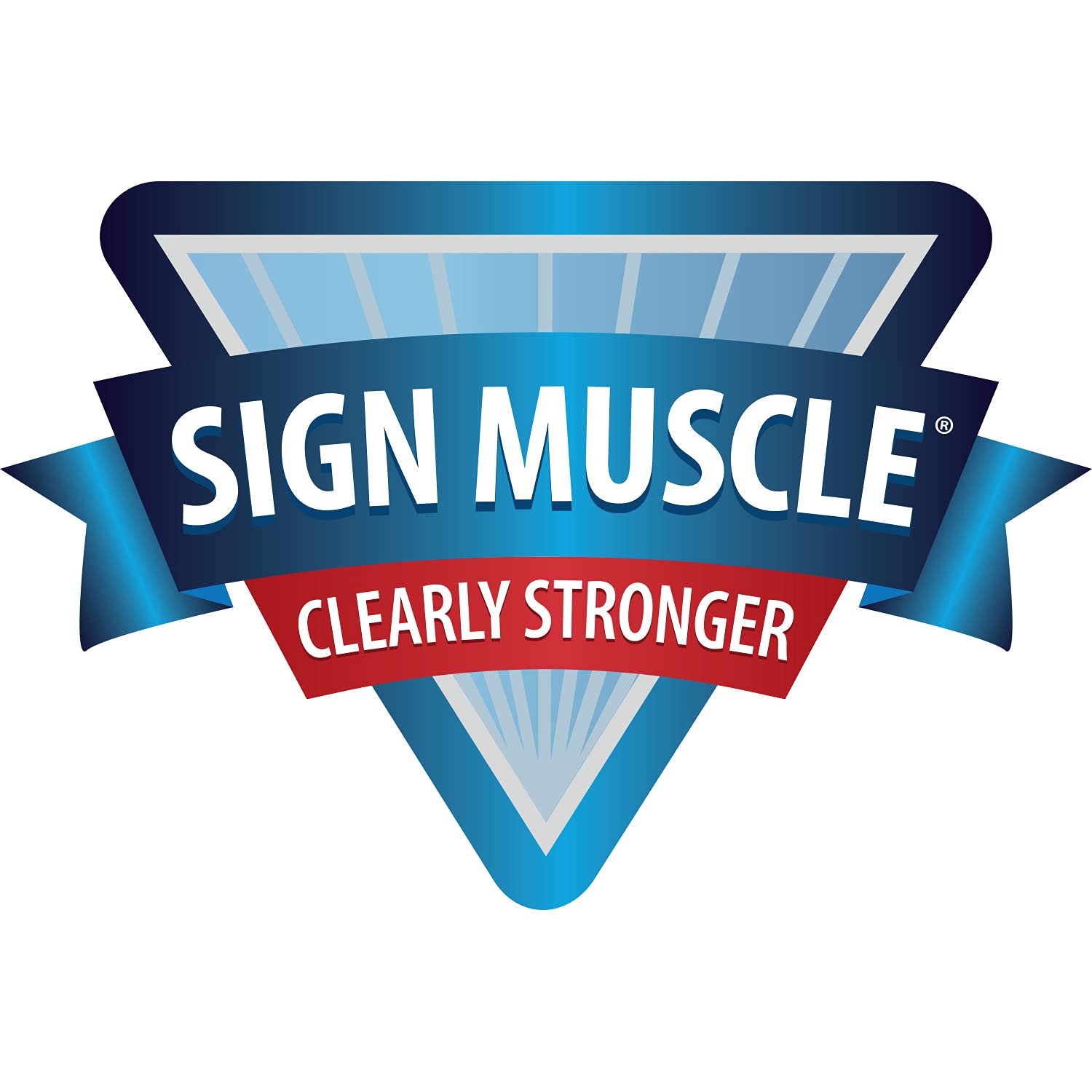 Accuform STOPOUT Look 'n Stop Group Lock Box, 13