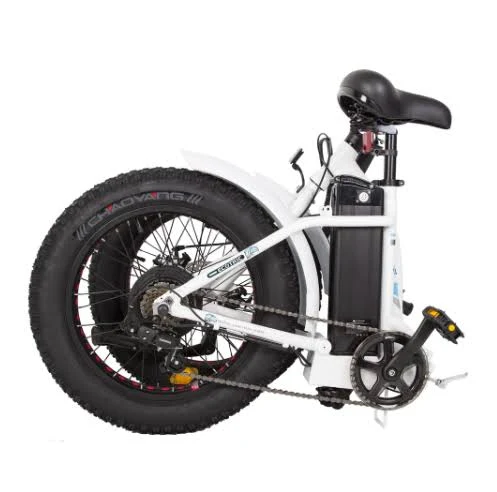 Ecotric Dolphin 36V/13Ah 500W 7 Speed Folding Fat Tire Electric Bike, Black