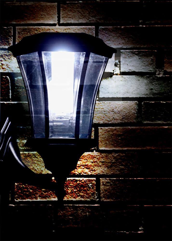 Sun-Ray 14.8-in H Black Solar Dark Sky LED Outdoor Wall Light | 3L2080