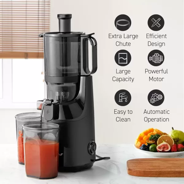 Blenders & Juicers EJX017 Whole Fruit 3&rdquo; Feeding Chute, Dynamic Masticating Slow Juicer, High Yield Cold Press Juice Extractor, Nutrient and Vitamin Dense, Easy to Clean, 27 oz Juice Cup, Black(Graphite)