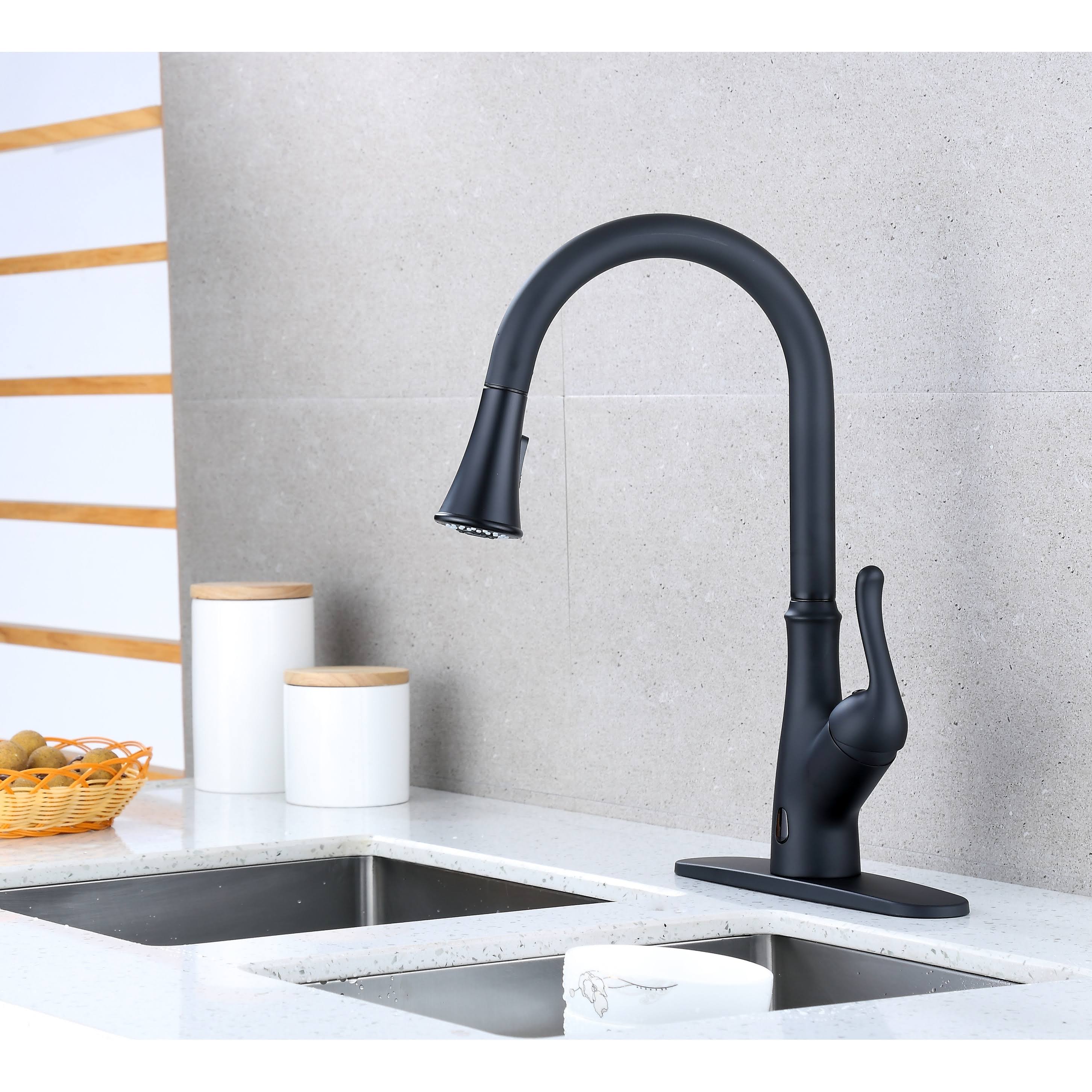 Runfine Group RF415014 Brisbane Pull Down Touchless Single Handle Kitchen Faucet Finish: Matte Black