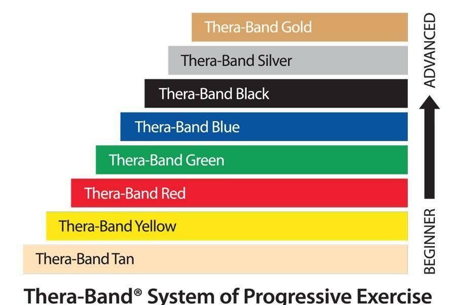 Theraband Professional Resistance Bands Dispenser Pack 30 Count