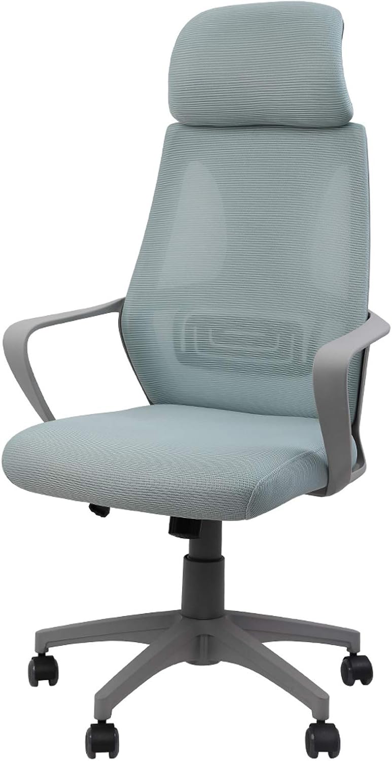 FlexiSpot Ergonomic Office Chair Mesh Chair 3D Lumbar Support, Desk Chair Headrest 4D Armrest Height Adjustable Seat Executive Swivel Chair (Black)