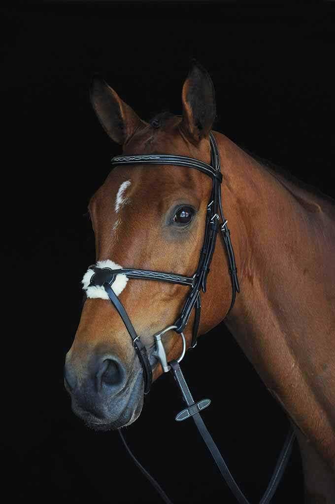 Collegiate Mono Crown Fancy Stitched Raised Jumper Figure 8 Bridle - COB / Black