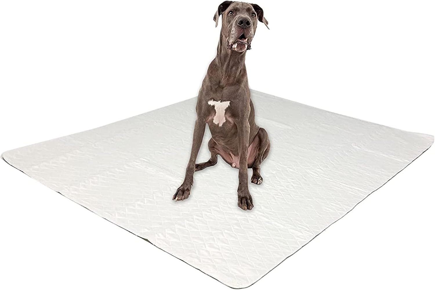 Midlee Washable Pee Pad for Dogs 60