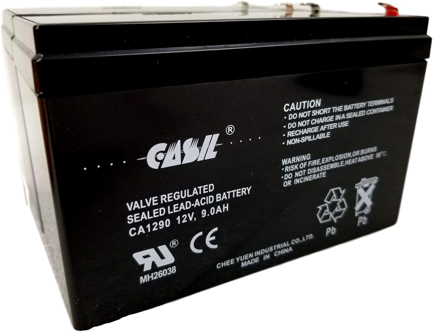 12v 9ah Rechargeable Sealed Lead Acid SLA AGM Battery F2 by Casil 2 Pack
