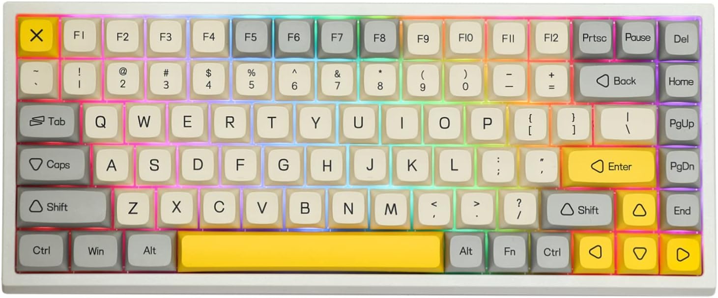 EPOMAKER EP84 84-Key RGB Hotswap Wired Mechanical Gaming Keyboard with PBT Dye-subbed Keycaps for Mac/Win/Gamers (Gateron Red Switch, Grey Black)