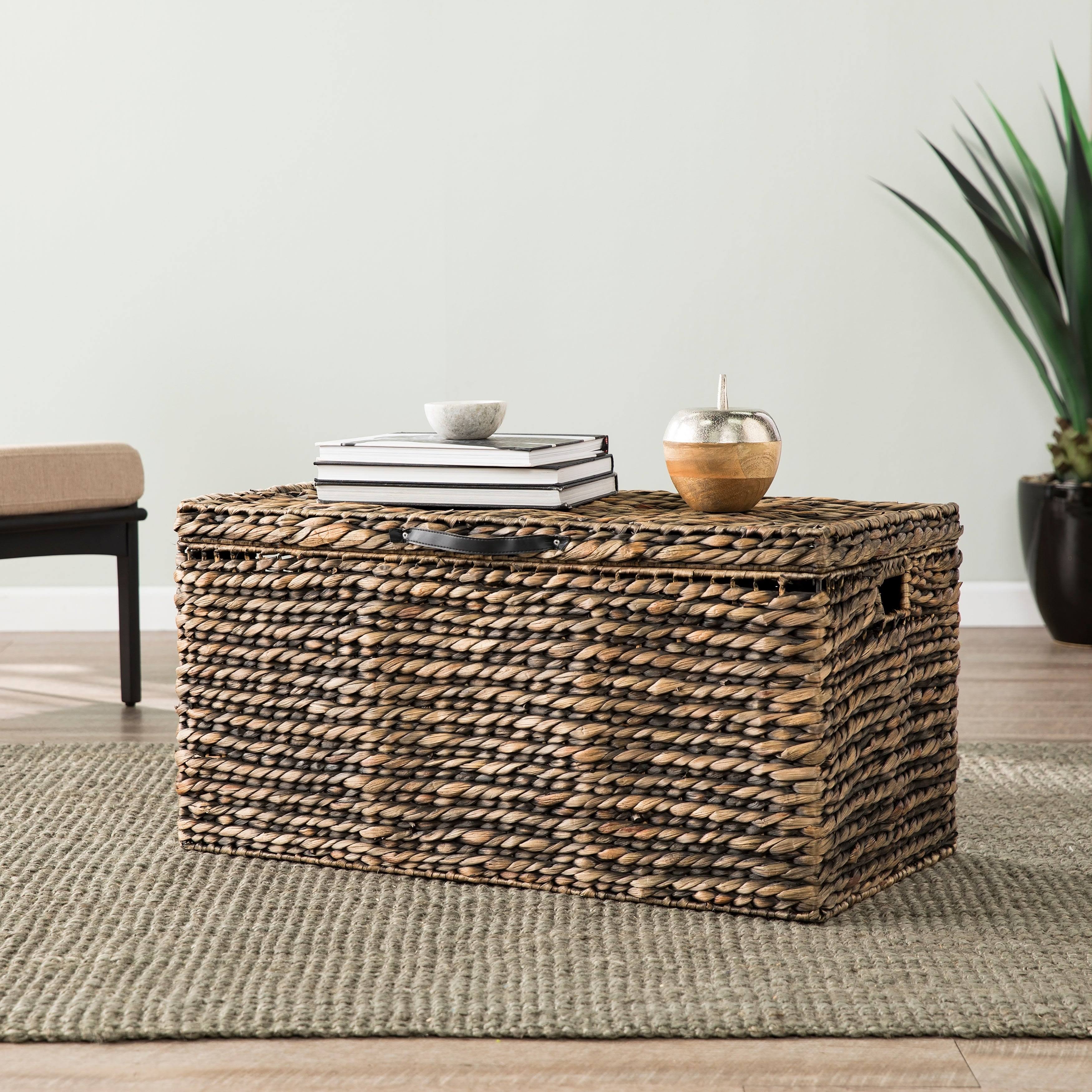 Carbon Loft Dandelion Water Hyacinth Cocktail Storage Trunk Table