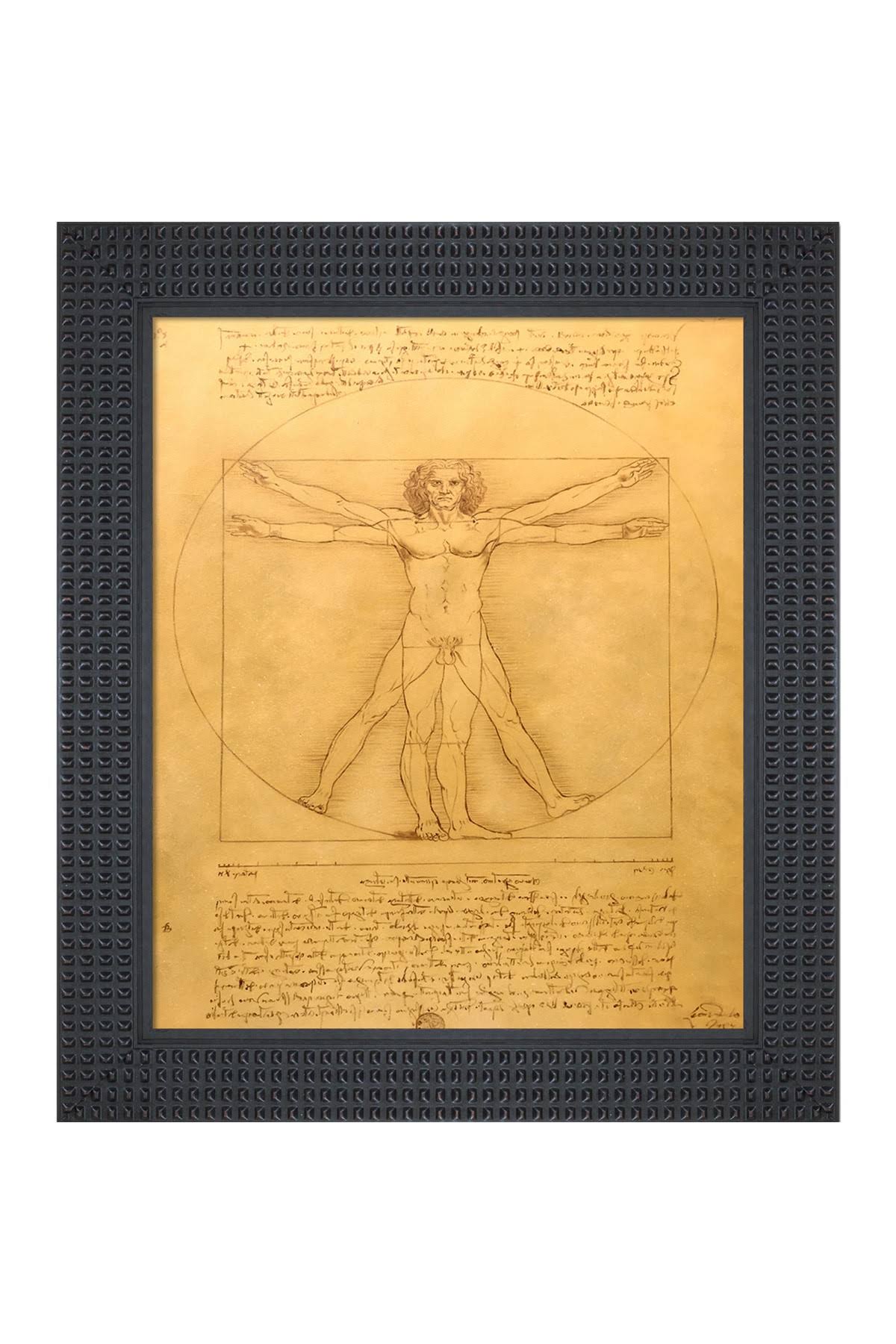 Nordstrom Rack Vitruvian Man - Framed Oil Reproduction of An Original Painting by Leonardo Da Vinci