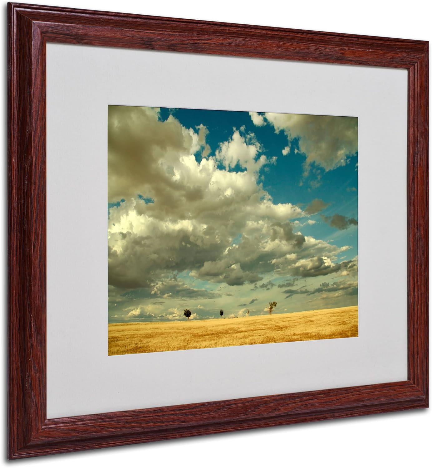 Four Musketeers Artwork by Beata Czyzowska Young, 16 by 20-Inch, Wood Frame Pack of 2